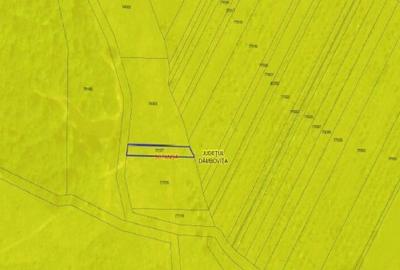 Teren extravilan Sotanga, ID: R2590381 - 3