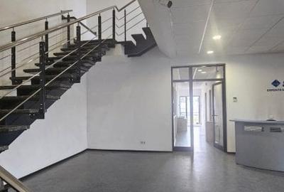 Spațiu industrial, de 2,400 mp, în Băneasa - 4