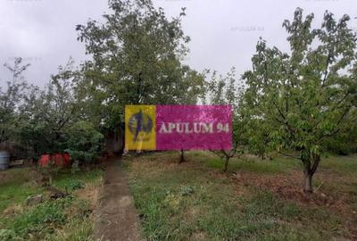 Vila spa?ioasa ?i bine construita langa Bucure?ti - 4