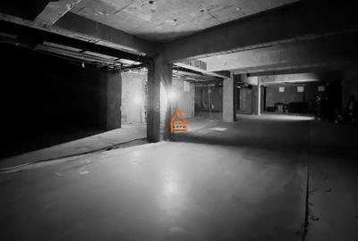 Spatiu comercial - D+P - 460 mp  - Centru Civic - 5