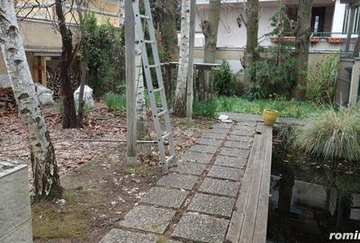 Pache Protopopescu-Agricultori-Matasari - 4