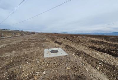 Teren agricol extravilan de 6500 mp, în Centură - 2