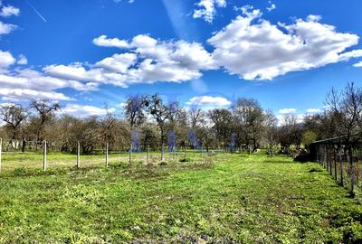 Casă individuală cu 4 camere cu Garaj în Săcădate - 19