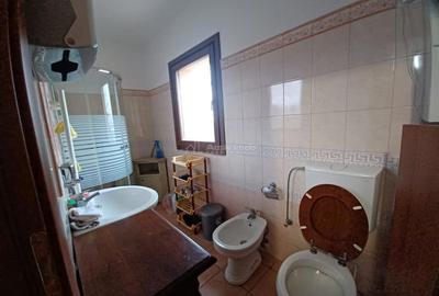 Hala 1500 mp - Otopeni Therme - 2