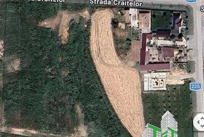 Teren Construcții intravilan de 5600 mp, în Pantelimon - 2