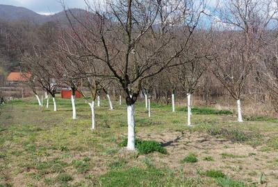 Spațiu comercial, în Central - 5