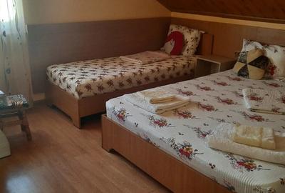 Vila Mangalia , 800 m de plaja - 8