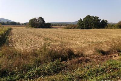 Teren de 11000 mp, în Fârdea - 1