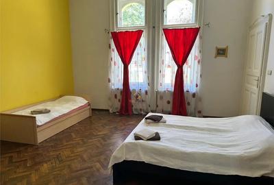 Casă cu 6 camere cu Teren 5000 Mp în Central - 10