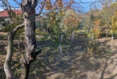 Casa / Vila cu 5 camere de vanzare in zona Est - 6