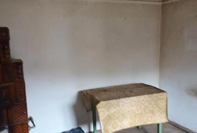 Casă cu Teren 800 Mp în Brătășanca - 1