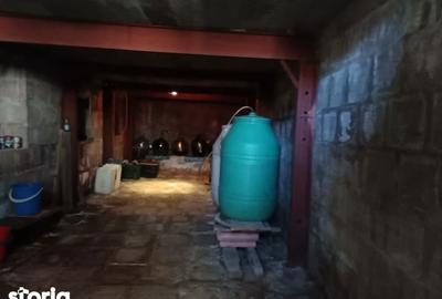Casă cu 3 camere cu Teren 1600 Mp în Tomești - 16