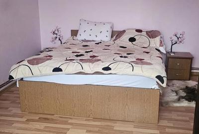 Casă cu 4 camere în Pietroasele - 3