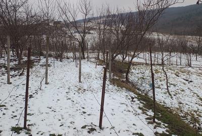 Teren Construcții intravilan de 704 mp, în Breazu - 3