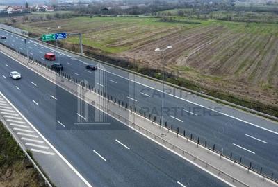 Teren 2727mp | Moara Vlasiei, Caciulati | A3 - 2