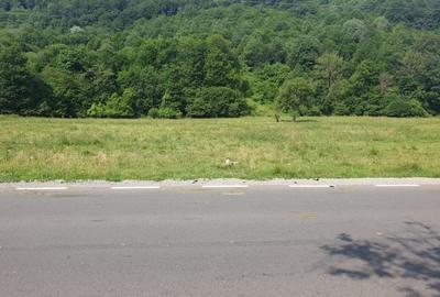 Oportunitate! -teren în zona  Pârâul Rece, Brașov - 4