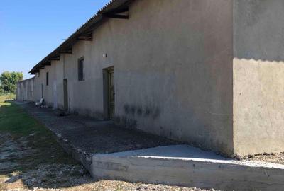 Spațiu comercial, de 660 mp, în Central - 1