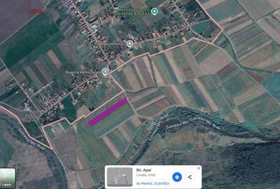 Teren de 8700 mp, în Livada (Iclod) - 9