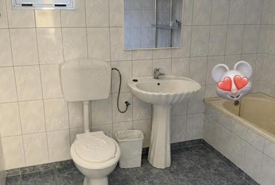 Casă cu 8 camere în Ologeni - 4