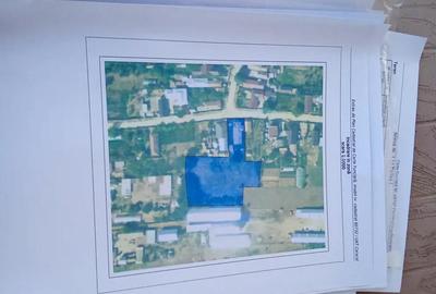 Casă cu 5 camere cu Teren 3330 Mp în Caracal - 4