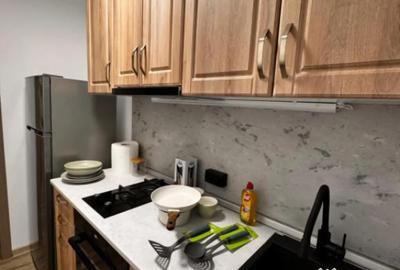 Apartament cu 2 camere semidecomandat, mobilat în Brazda lui Novac - 5