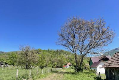 Casă cu 4 camere în Ocoliș - 6