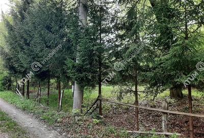 Teren intravilan 800 mp pe Valea Avrigului in apropierea raului Avrig - 3