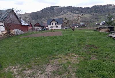 Spațiu comercial, de 370 mp, în Falcău - 5