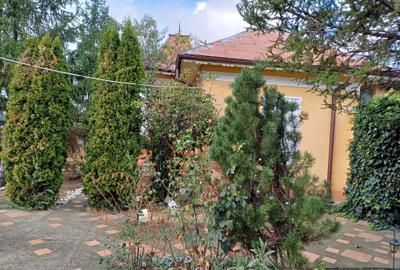 Casă cu 3 camere în Teiș - 8