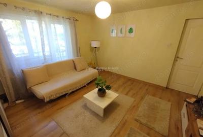 Gradinari, Apart. 2 Cam, Decom, Parter, Pret Negociabil - 20