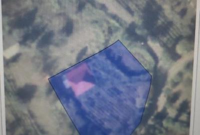 Casa batraneasca  cu teren - 1