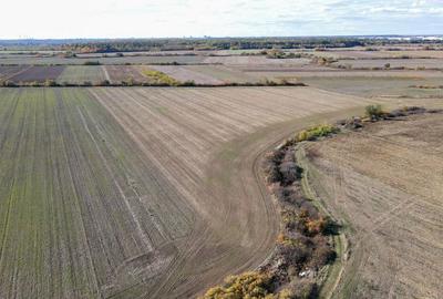 Bucovat - Lot Intravilan 2.27 Ha, PUZ inceput, Rezidentia... - 7