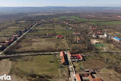 Casă cu 8 camere cu Teren 7235 Mp în Traian Vuia - 11