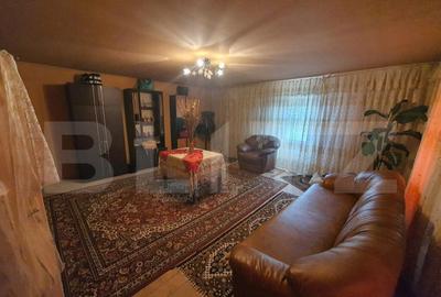 Casa individuala de vanzare, Monariu - 14