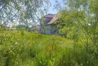 Teren de 900 mp, în Săcălaz