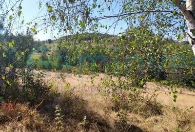 Gaminvest Teren extravilan cu priveliște superbă, comuna Bratca, Bihor, V4100 - 4