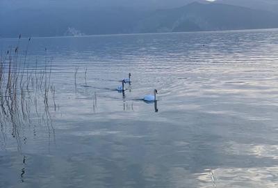 Spațiu comercial, în Câlnic - 5