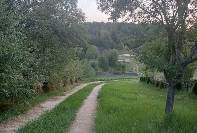 Vand teren 1000 mp Brebu Nou - 1