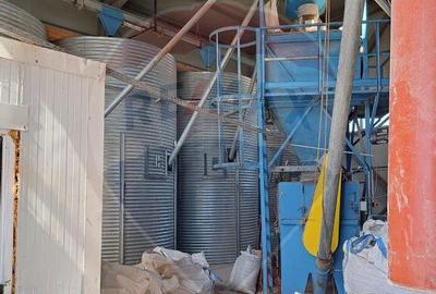 Spa?iu industrial de vanzare in Sangeorgiu de Padure... - 13