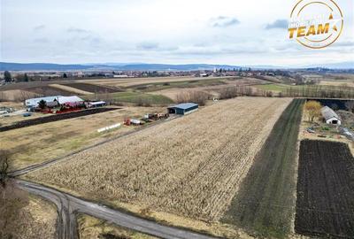 Teren intravilan de 5800 mp, în Dobolii de Jos - 5