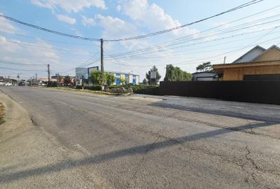 Casă + Afacere + Relaxare = Investiția Perfectă, in Cioranii de Jos - 5