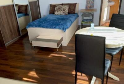 Garsonieră semidecomandată, mobilată în Tineretului - 3