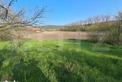 Casă cu 4 camere cu Teren 15000 Mp în Bichiș - 9