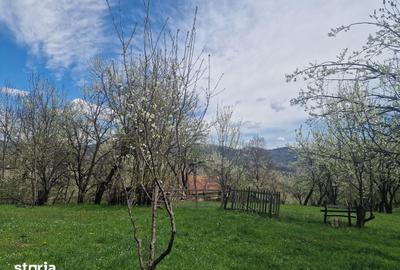 Teren de 12000 mp, în Ghioșești - 13