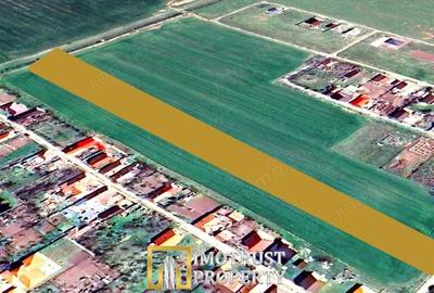 Teren de 7317 mp, în Zimandcuz - 2