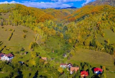 COMISION 0% Teren 11,381 mp Moieciu de Jos / Oportunitate unica - 18