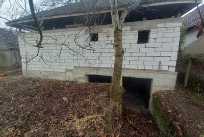 Casă cu 2 camere în Bârsa - 6