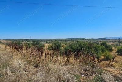 Teren intravilan 14.168 mp pozitie excelenta la intrarea in Braila - 3