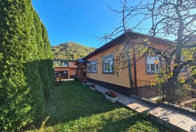 Casă cu 3 camere în Criș - 1