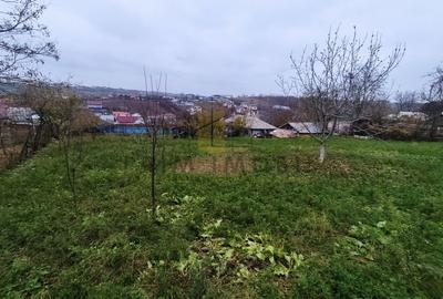 Teren ideal pentru investitie Valea Lupului Era/ 1923mp - 5